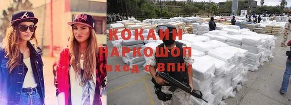 шишки Алексин