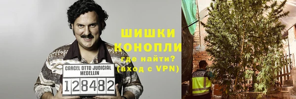 шишки Алексин
