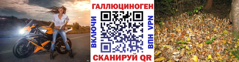 цена наркотик Биробиджан Псилоцибиновые грибы ЛСД