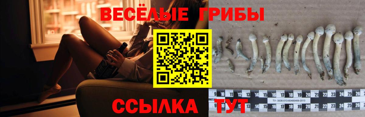 Биробиджан  Псилоцибиновые грибы Psilocybe  Псилоцибиновые грибы прущие грибы  Вход с VPN 